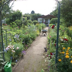 Altersgerechtes Gärtnern – einmal Garten immer Garten     
