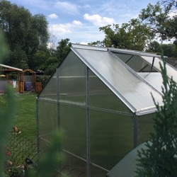 Geschützter Anbau – ein Gewächshaus im Kleingarten