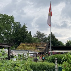 Platz für mehr Grün – so begrünen Sie das Dach Ihrer Laube