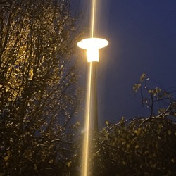 Lichtverschmutzung in unseren Gärten – in vielen Gärten wird die Nacht zum Tag gemacht