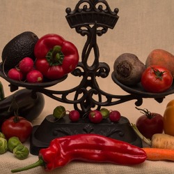 Anzucht von Chili, Tomaten, Paprika und Kartoffeln