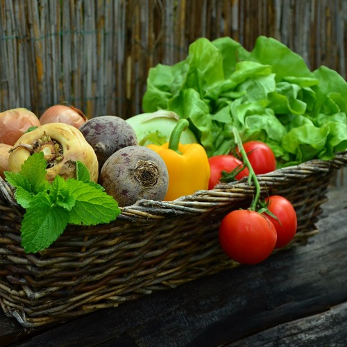 Kleingartensicherungsnutzungsgesetz