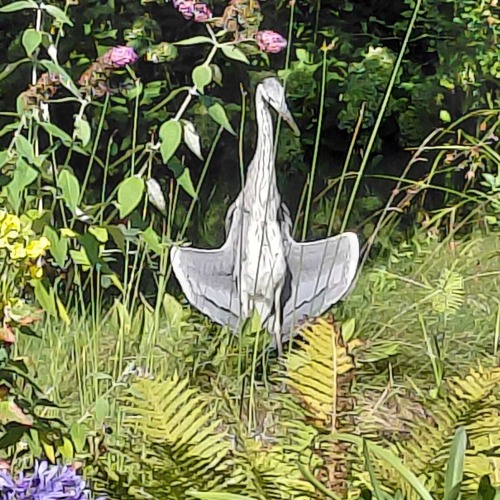 Vogelgrippe